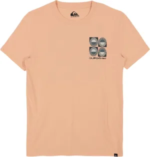 Quiksilver Boys' Short Sleeve Logo Graphic T-Shirt