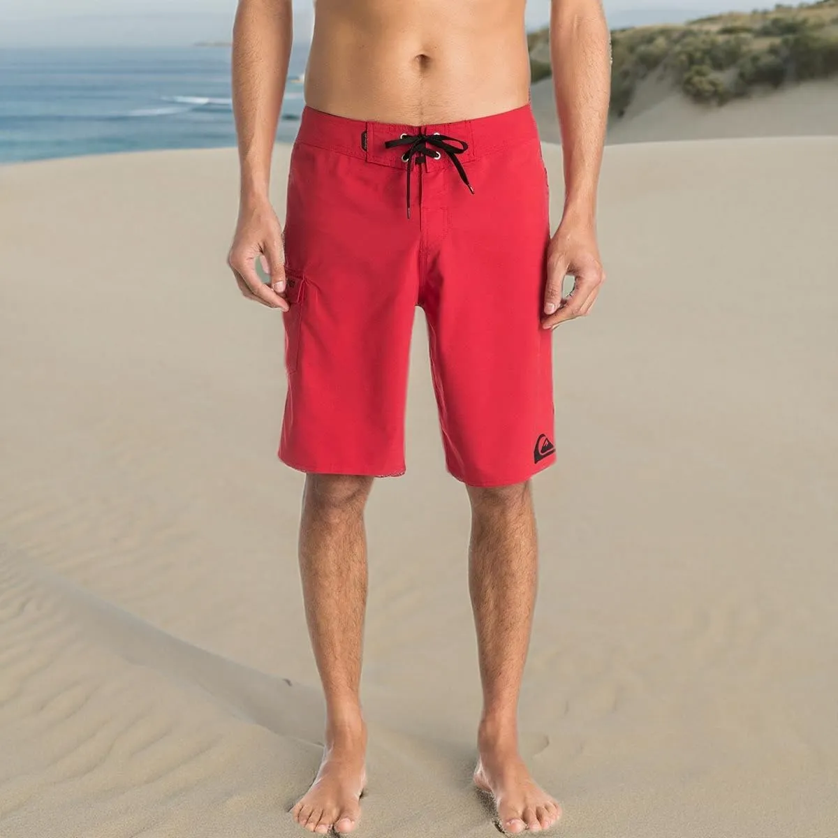 Quiksilver Men's Standard Everyday 21" Board Shorts